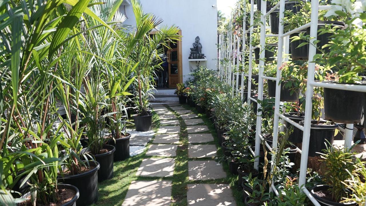 Whiteflower Resort Morjim Extérieur photo